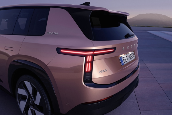 Peaq_010_Rear_lights.jpg